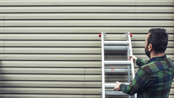 Best Insulated Siding Installation  in Nogales, AZ