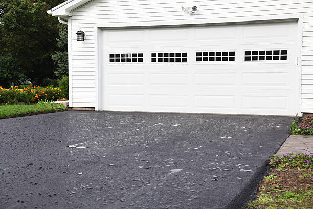 Best Fiber Cement Siding Installation  in Nogales, AZ