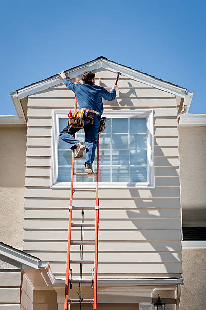 Best Historical Building Siding Restoration  in Nogales, AZ