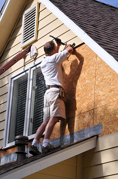 Affordable siding repair and maintenance services in Nogales, AZ